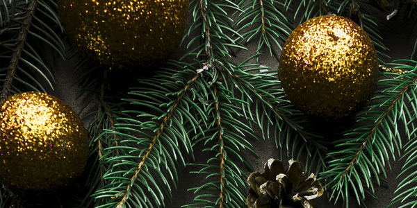 Новогодние спектакли в «Зодчих»