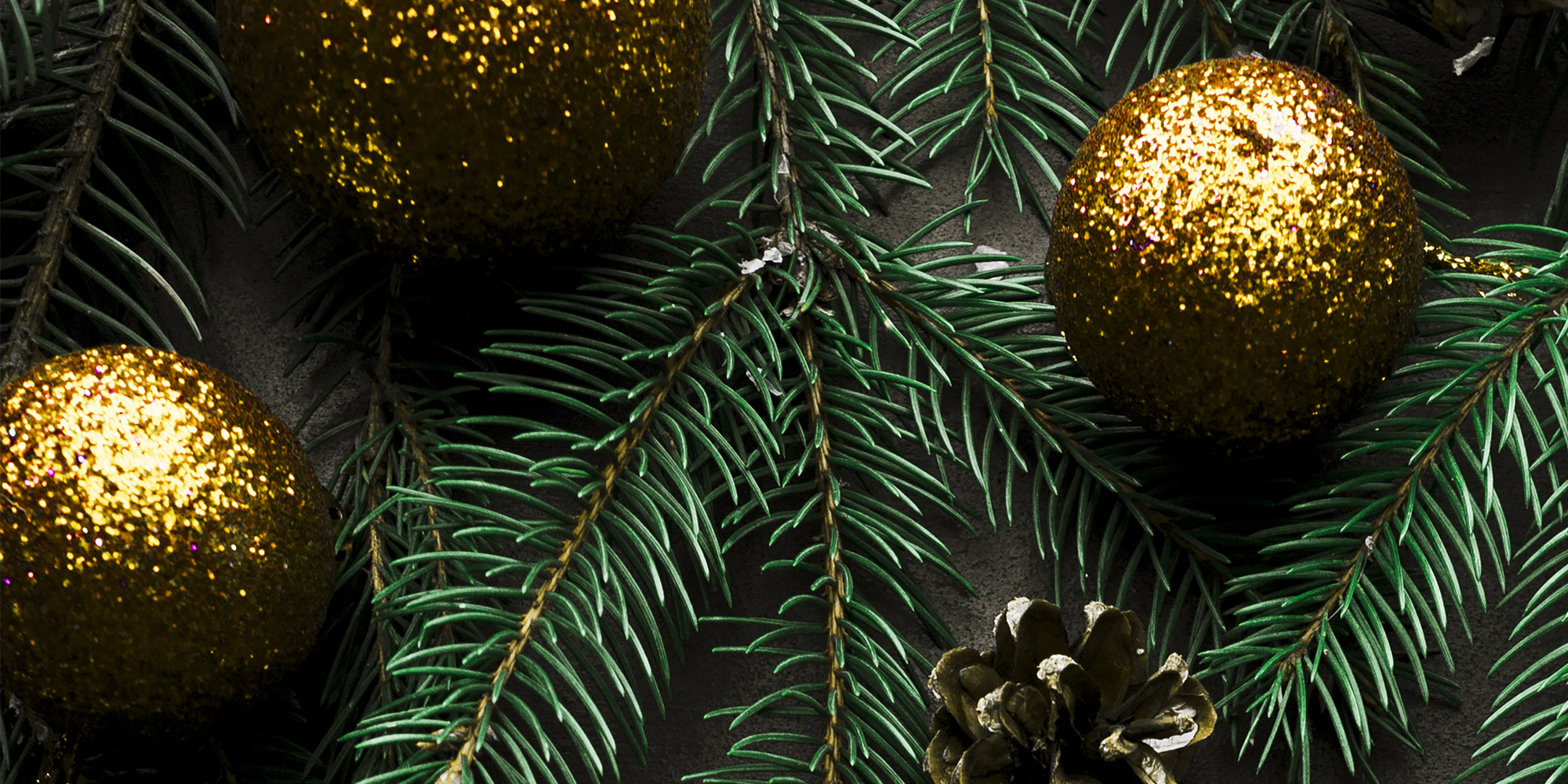 Новогодние спектакли в «Зодчих»