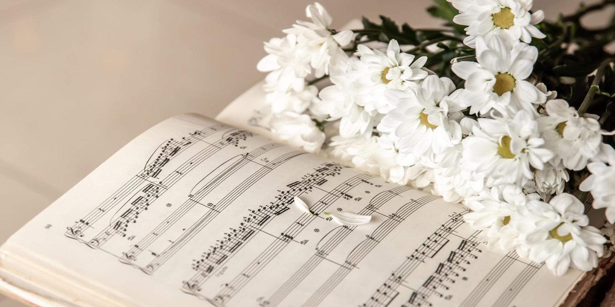 Концерт-встреча «Песня собирает друзей»